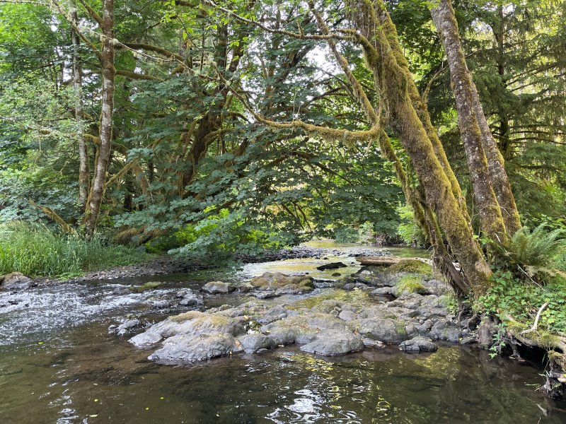 About Wooded Creek